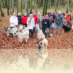 Spaziergang am 21.11.2010 in Unterelkofen